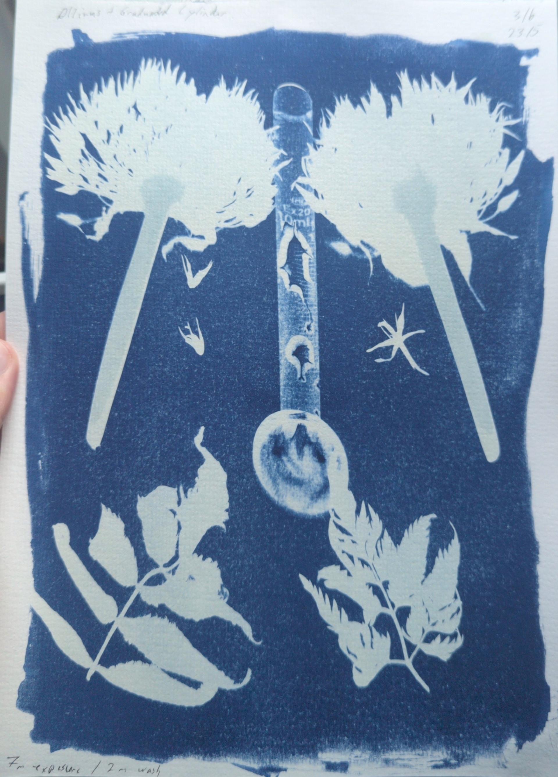 a cyanotype piece rendered in blue and white. in each corner of the page are flowers and leaves. in the centre-top of the page is a pipe.